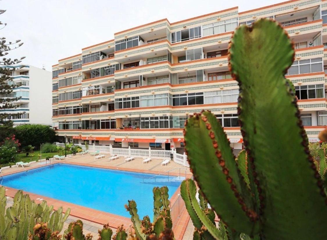 Lejlighed Calm, Cosy And Bright Renovated In Playa Del Ingles- Wifi Free *